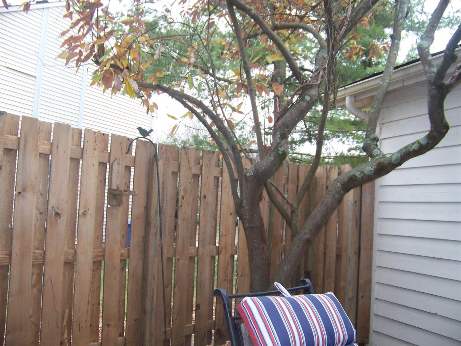 1120 Turkey Foot Road, Unit B Lexington, KY 40502 - Photo 5 of 43 Photo 5