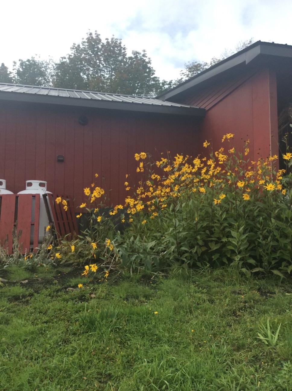 3543 Carter Road Lowell, VT 05847 - Photo 23 of 25