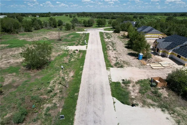 a view of a yard with plants