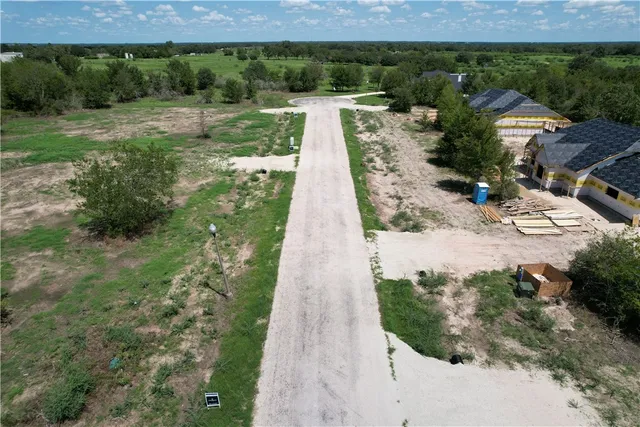 a view of a yard with plants