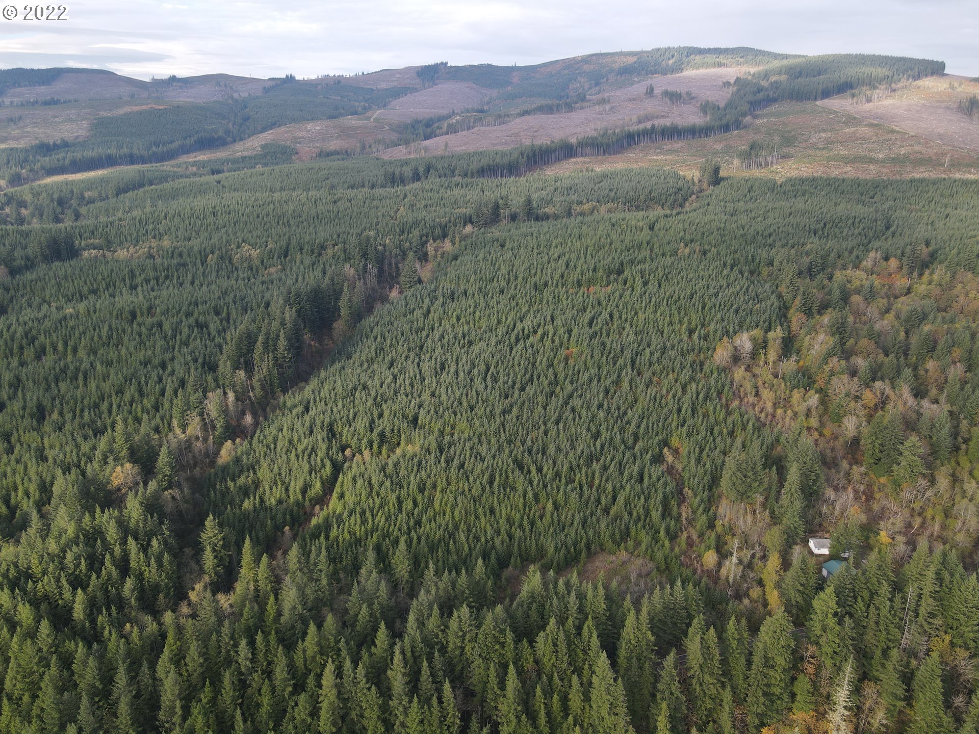 Sunset Falls Yacolt, WA 98675 - Photo 1 of 13 a view of a lush green hillside and a mountain