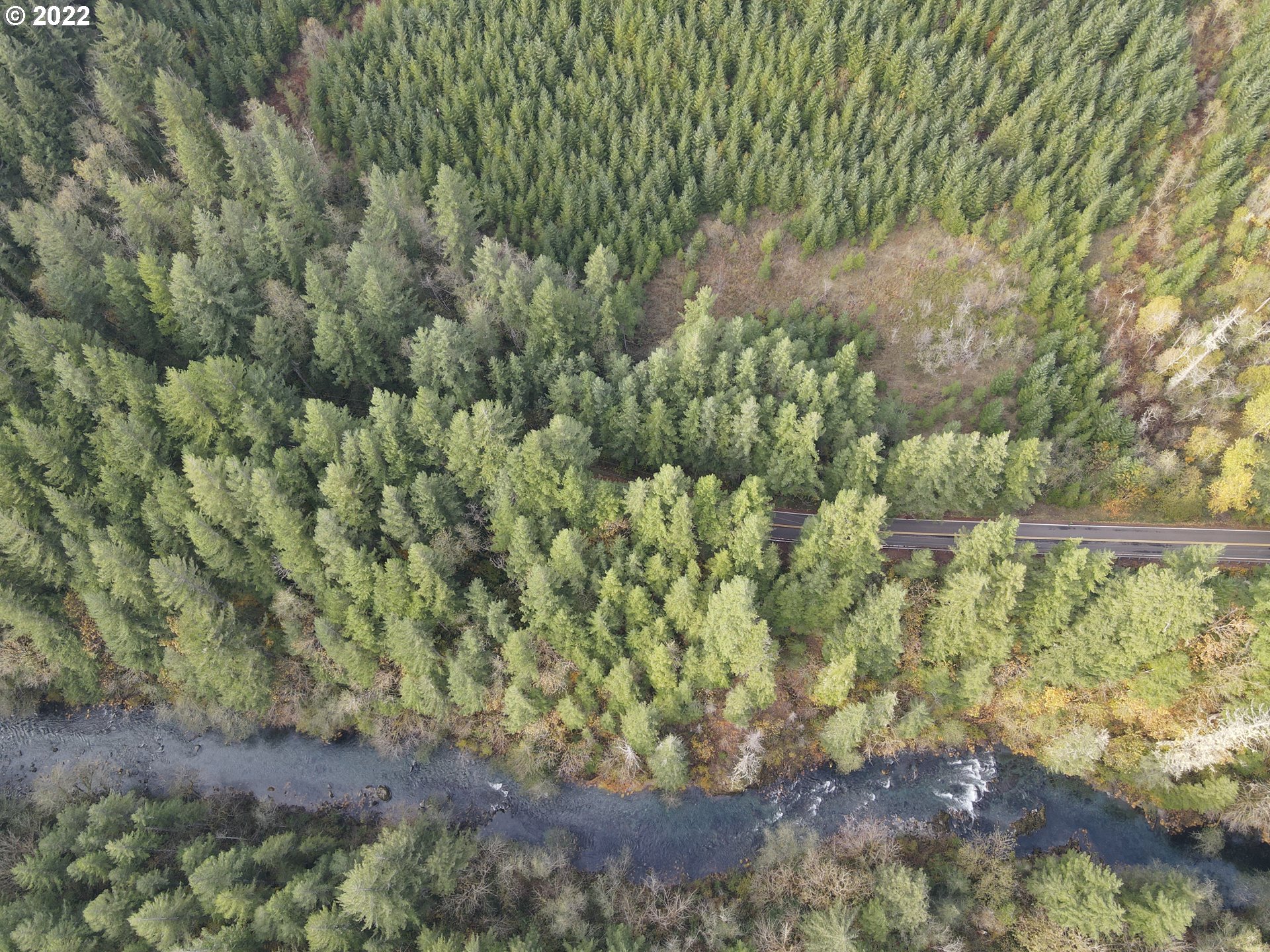 Sunset Falls Yacolt, WA 98675 - Photo 2 of 13 a view of a garden with a tree