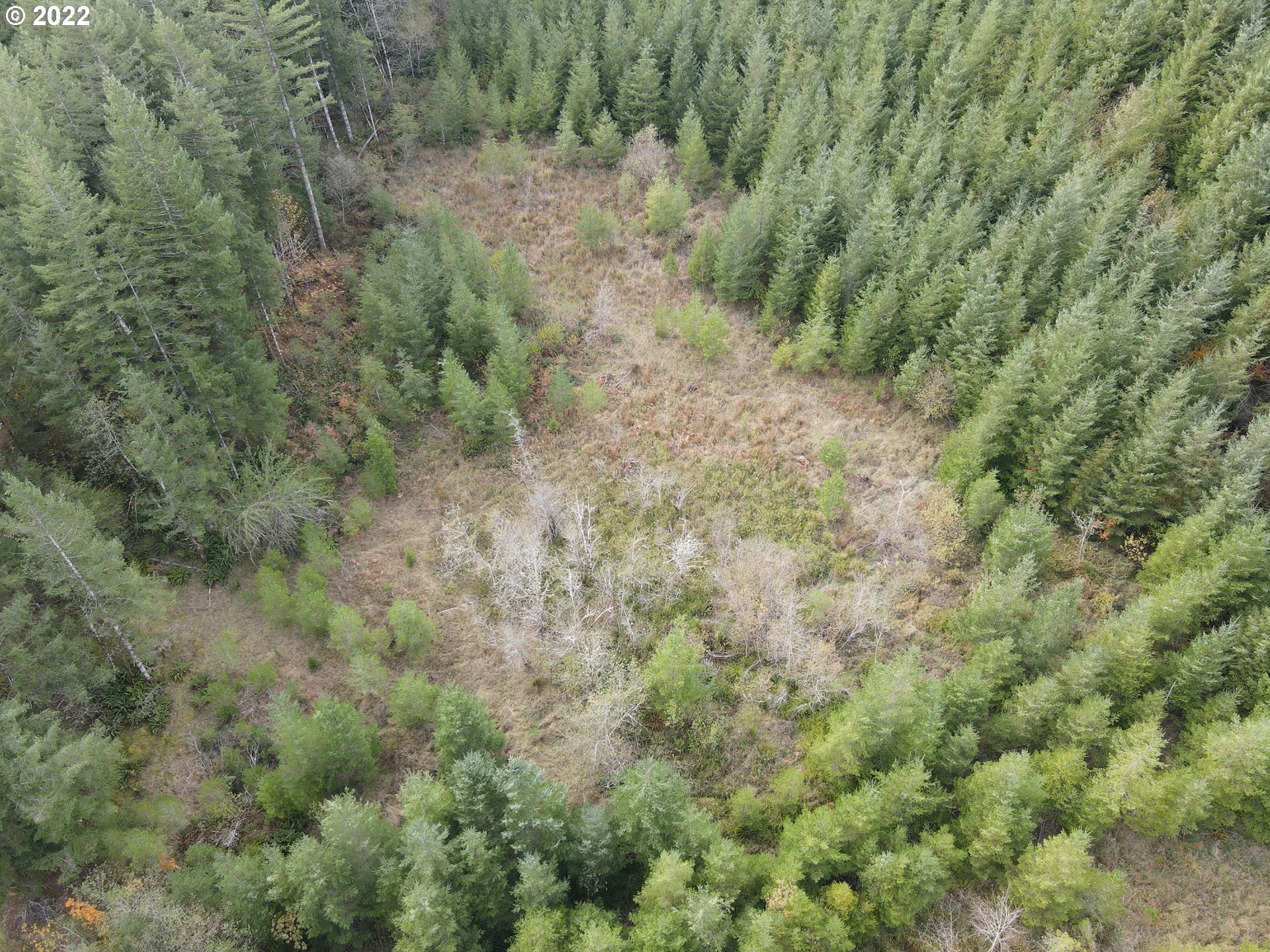 Sunset Falls Yacolt, WA 98675 - Photo 4 of 13 a view of a forest with trees in the background