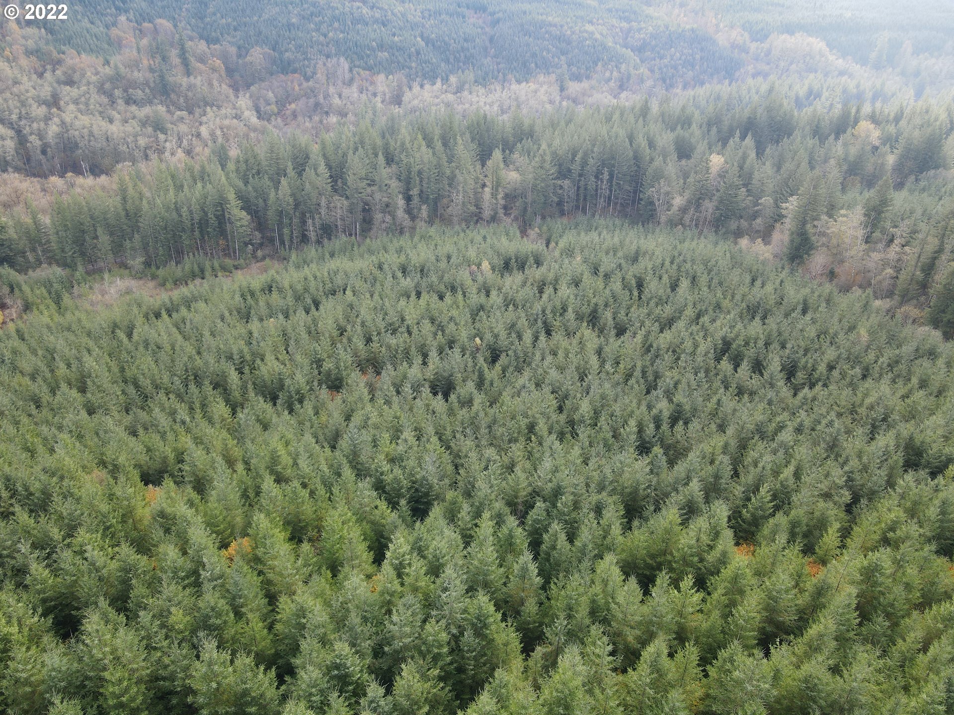 Sunset Falls Yacolt, WA 98675 - Photo 7 of 13 a view of a lush green field