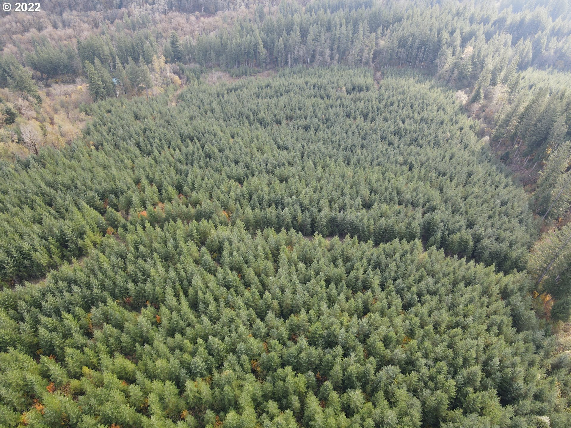 Sunset Falls Yacolt, WA 98675 - Photo 8 of 13 a view of a field of grass and trees