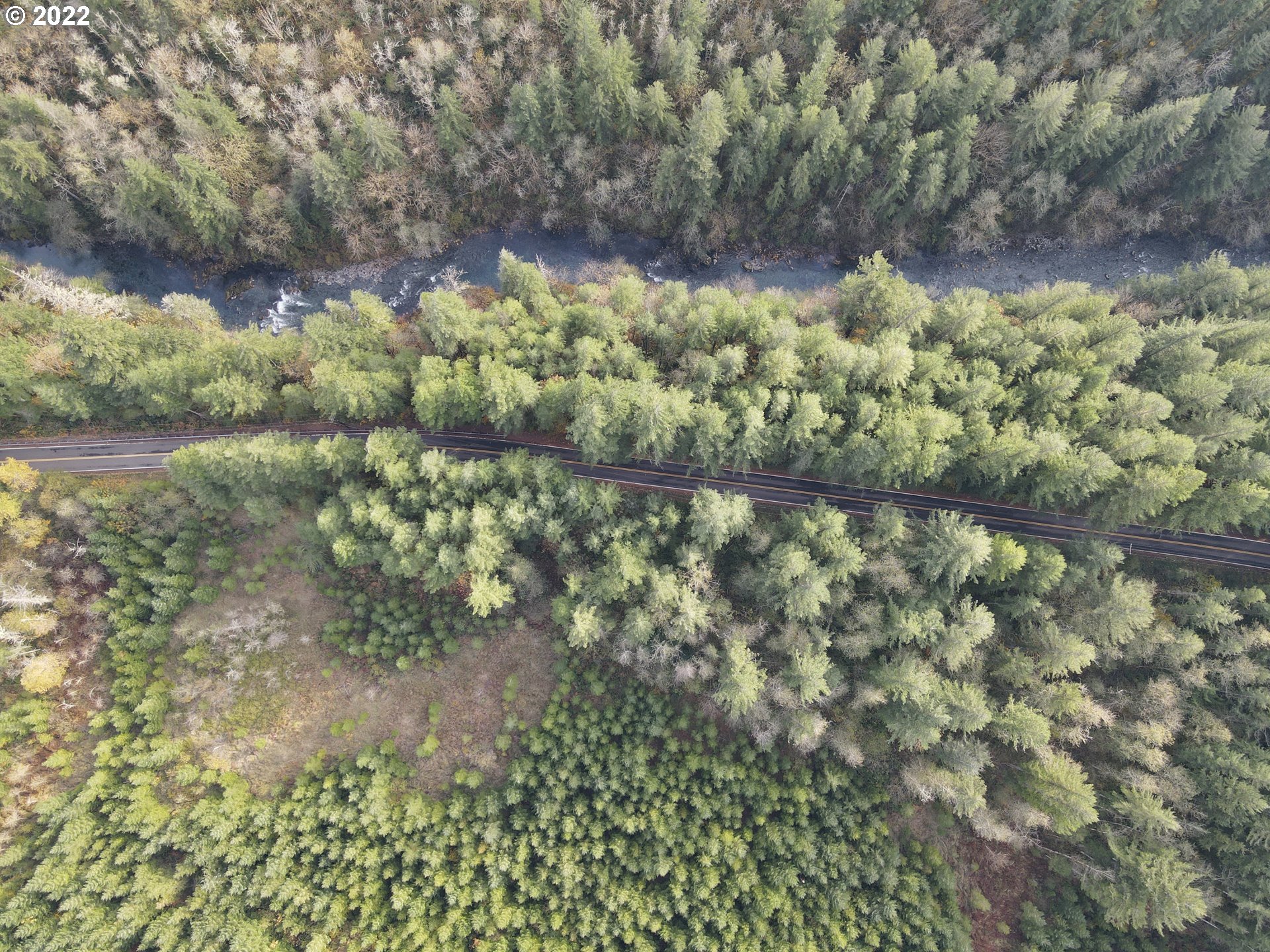 Sunset Falls Yacolt, WA 98675 - Photo 9 of 13 a backyard of a house with lots of green space