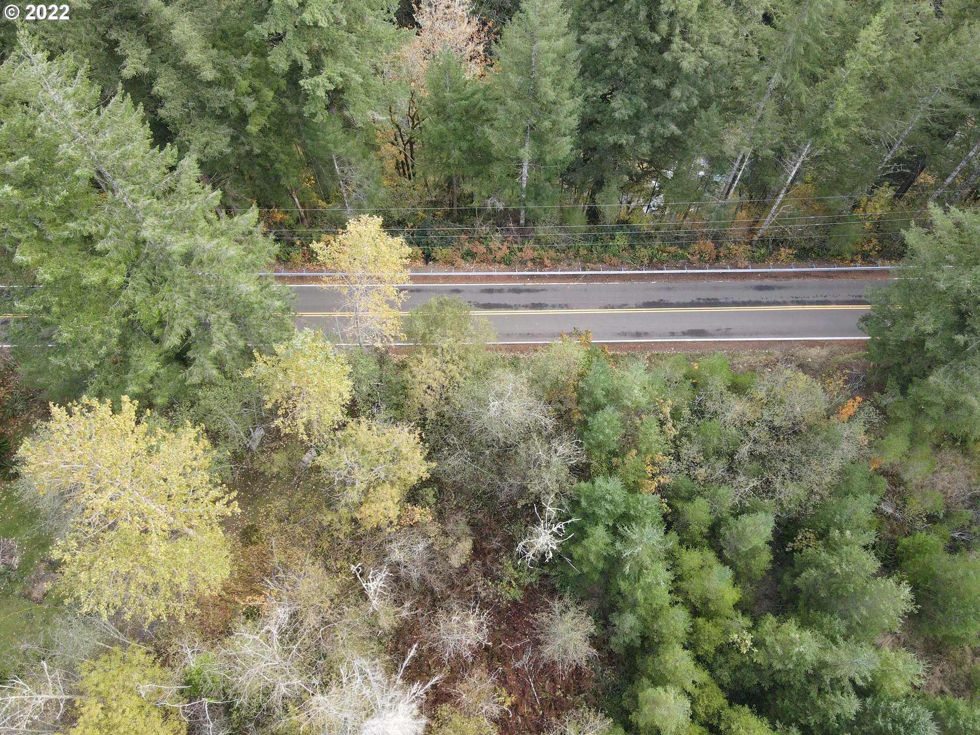 Sunset Falls Yacolt, WA 98675 - Photo 10 of 13 a view of a yard