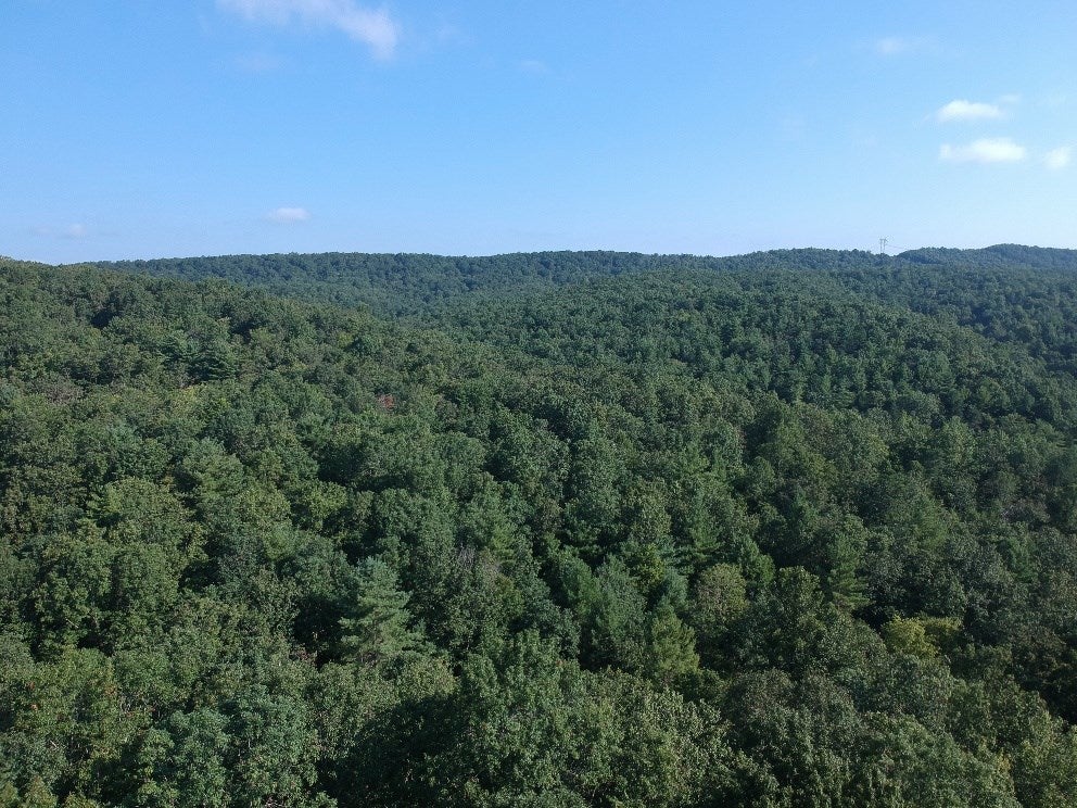 Tbd Grouse Ridge Road Max Meadows, VA 24360 - Photo 6 of 11 Gallery Image 6