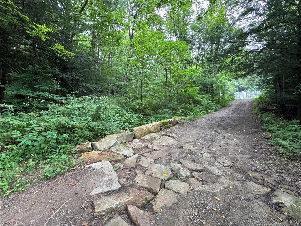 196 Grimm Road Normalville, PA 15469 - Photo 5 of 20 Gallery Image 5