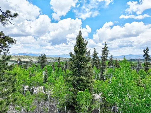 a view of a bunch of trees