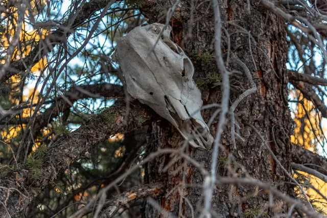 $674,900 | 270 Piaute Way, Como, CO 80432