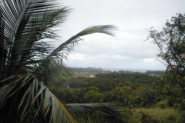 8 Wili Road, Unit 8 Kapaa, HI 96746 - Photo 2 of 4
