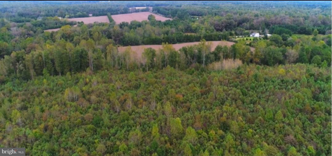 Butler Road Beaverdam, VA 23015 - Photo 3 of 3