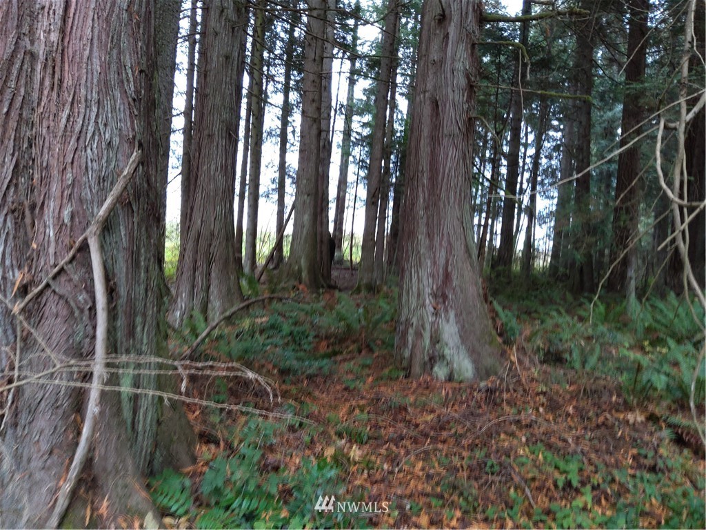 0 Port Gamble Road Northeast Poulsbo, WA 98370 - Photo 2 of 6 Gallery Image 2