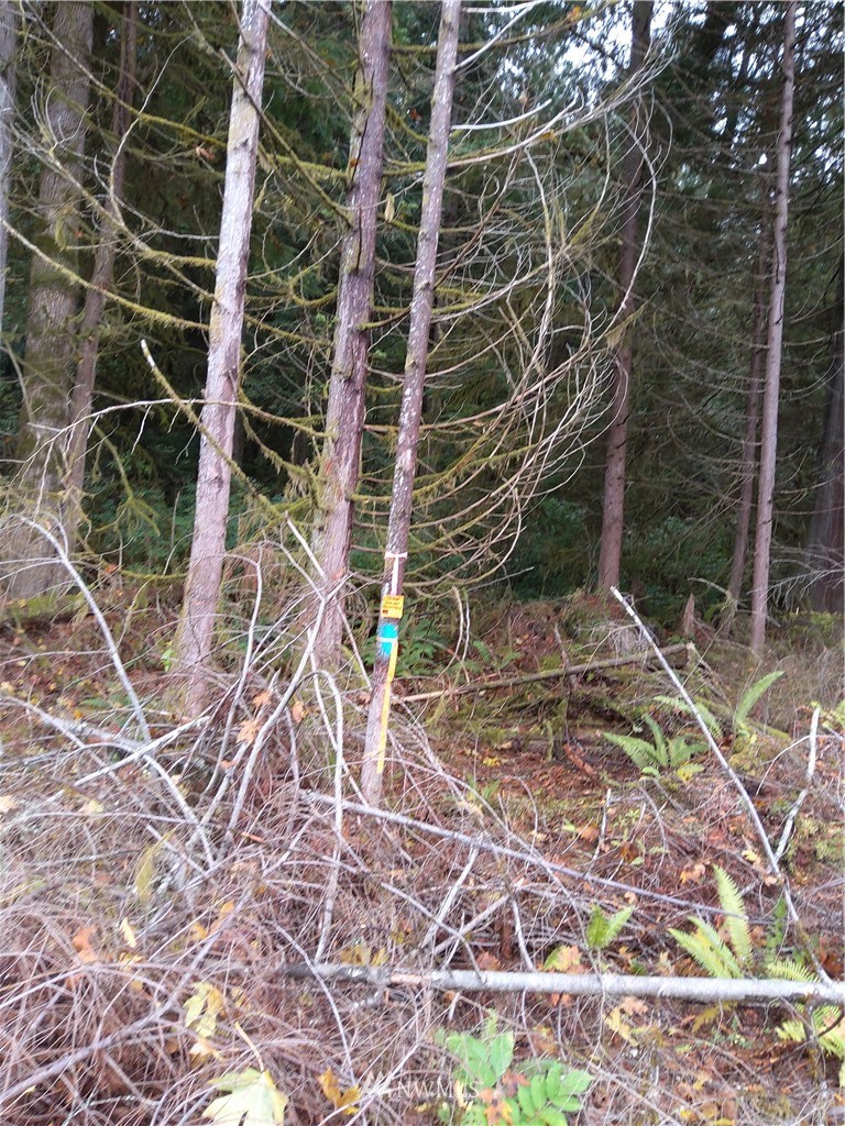 0 Port Gamble Road Northeast Poulsbo, WA 98370 - Photo 6 of 6 Gallery Image 6