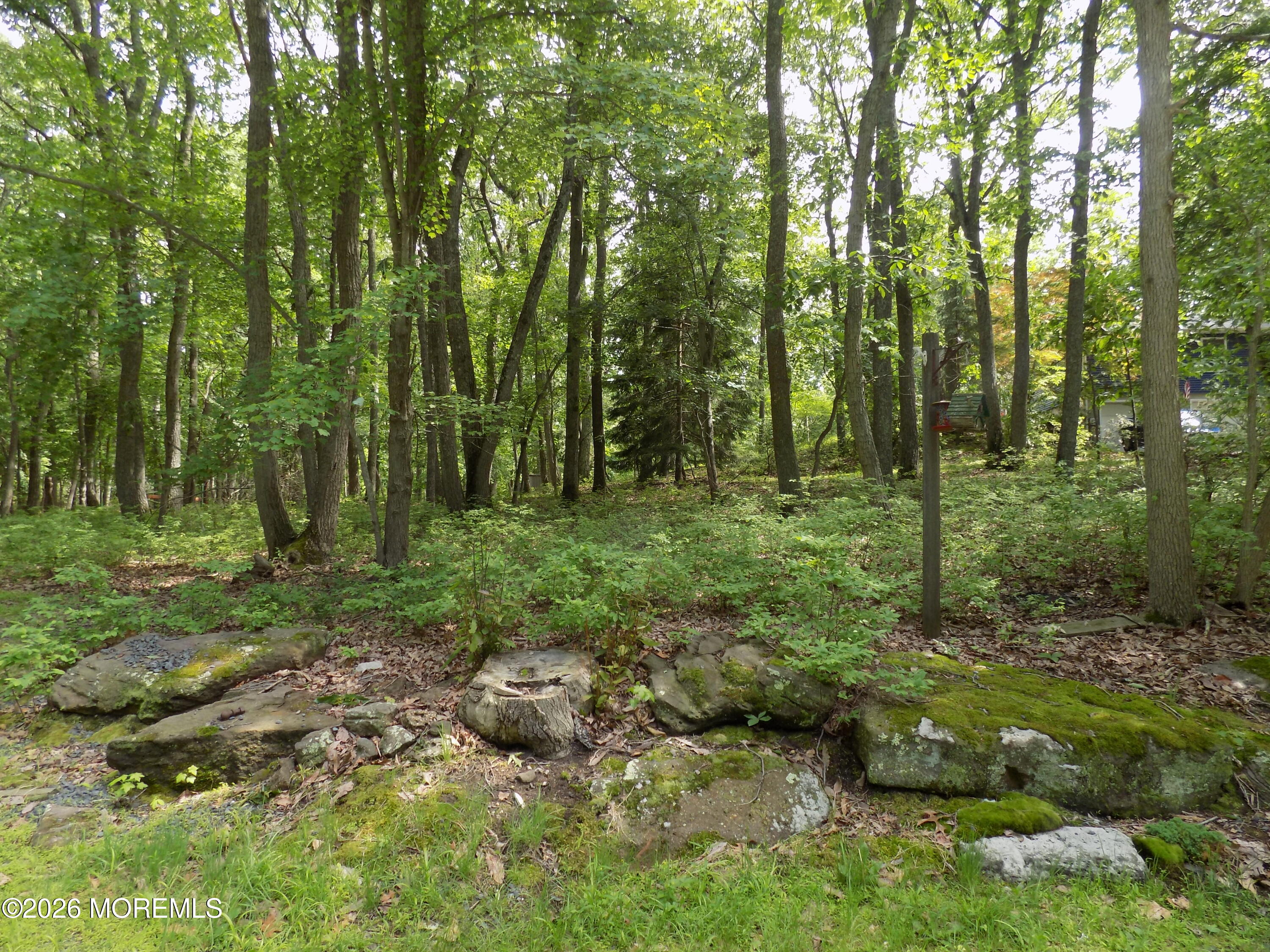 1 Filmore Road Millstone Township, NJ 08510 - Photo 22 of 26 1 Fillmore