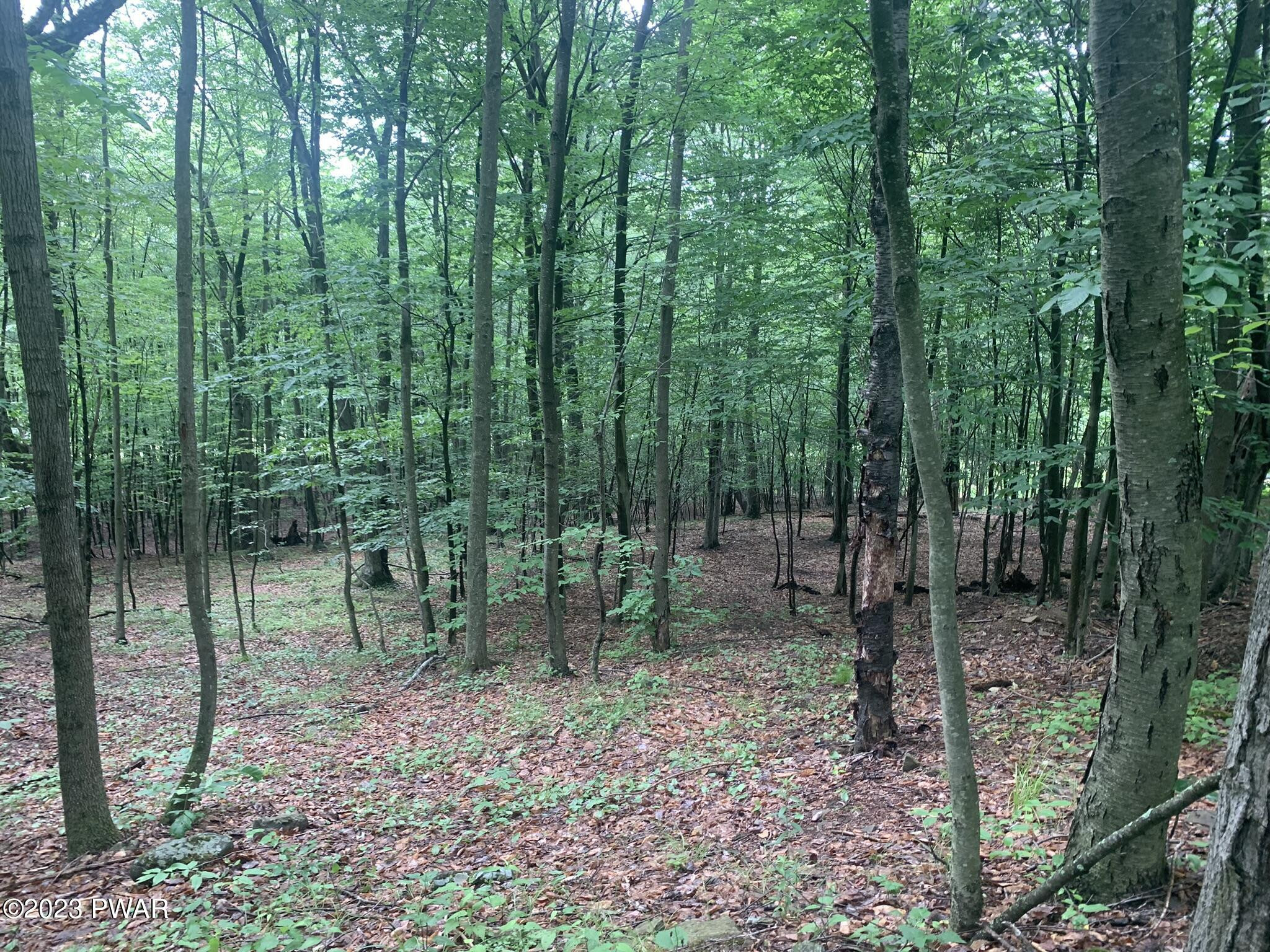 Lot 28 Murnin Rd Lake Lake Ariel, PA 18436 - Photo 5 of 11
