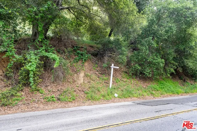 a backyard of a house with a small yard and plants
