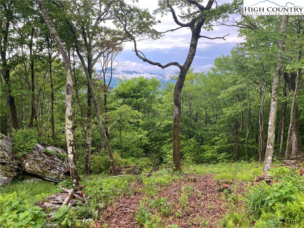 Lot 6 Chappell Farm Road Banner Elk, NC 28604 - Photo 1 of 16 Gallery Image 1