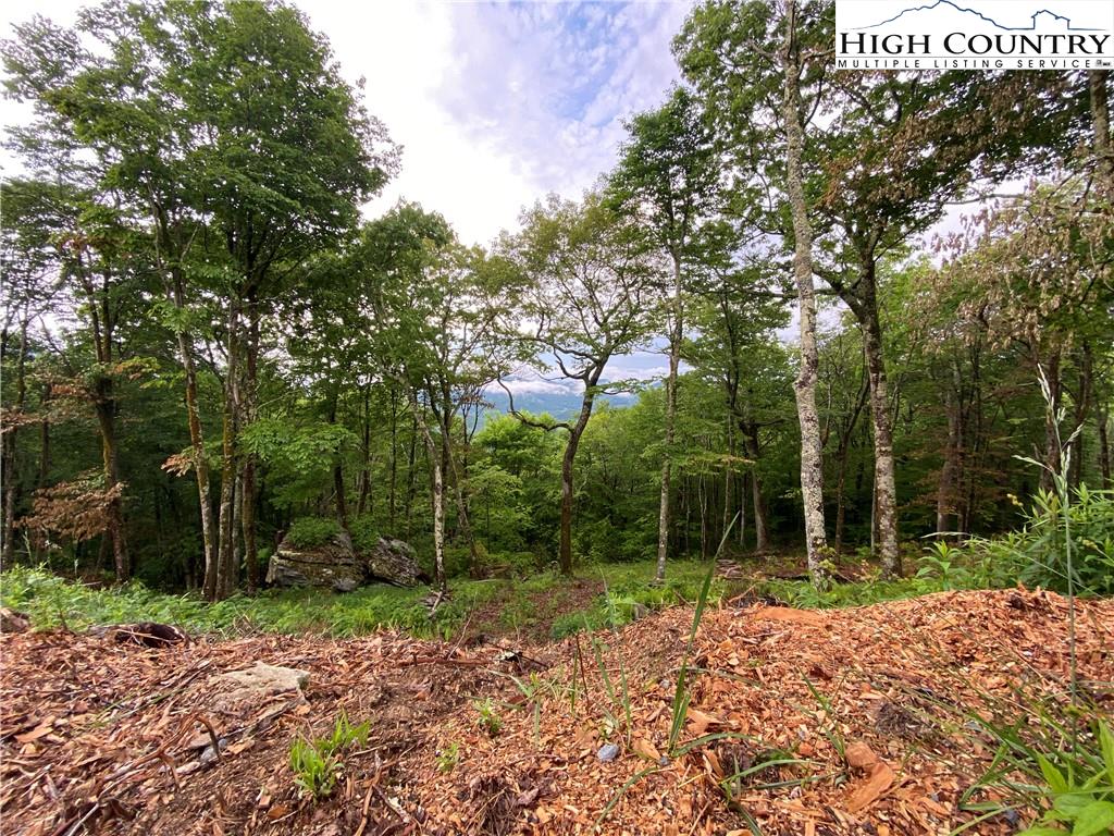 Lot 6 Chappell Farm Road Banner Elk, NC 28604 - Photo 4 of 16 Gallery Image 4