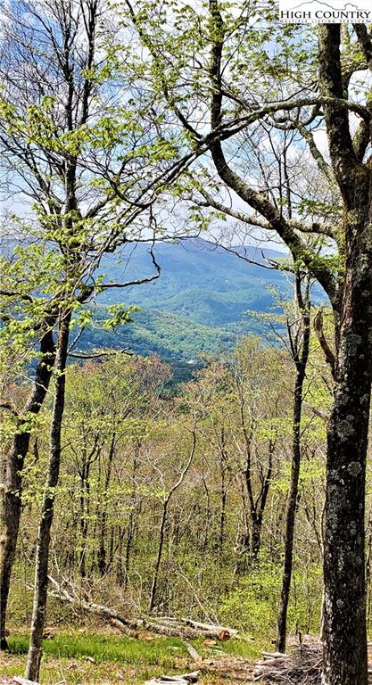 Lot 6 Chappell Farm Road Banner Elk, NC 28604 - Photo 5 of 16 Gallery Image 5