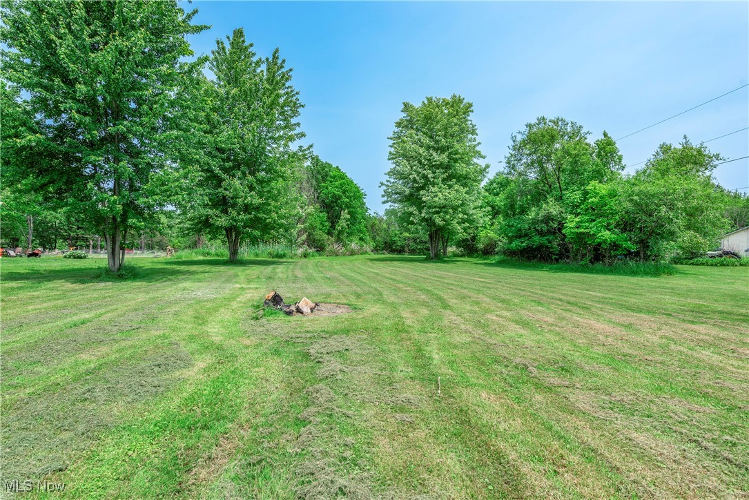 7835 Elyria Road Medina, OH 44256 - Photo 40 of 46 View of green lawn
