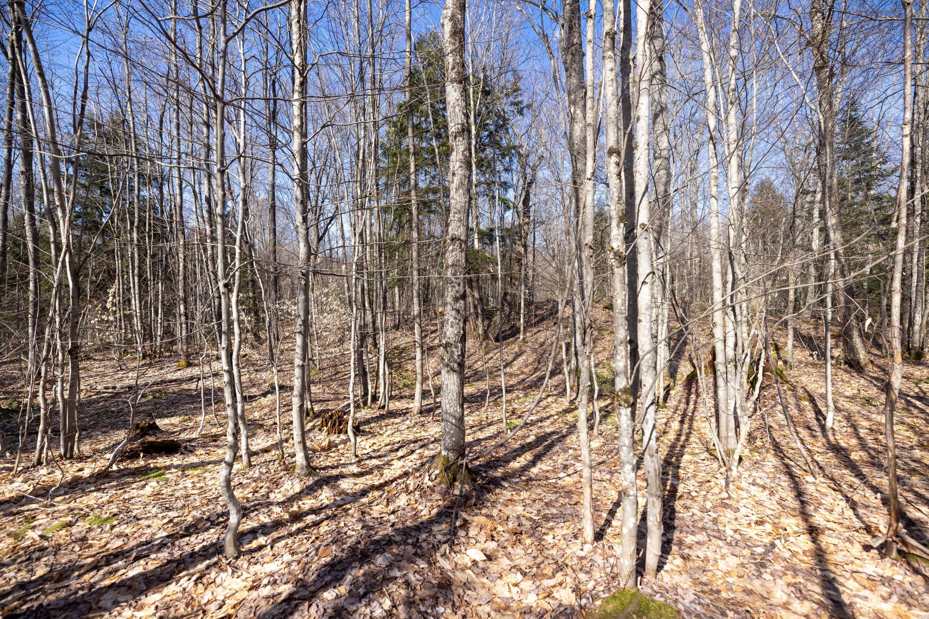 0 Old Grade Road Newberry, MI 49868 - Photo 29 of 31 Gallery Image 29