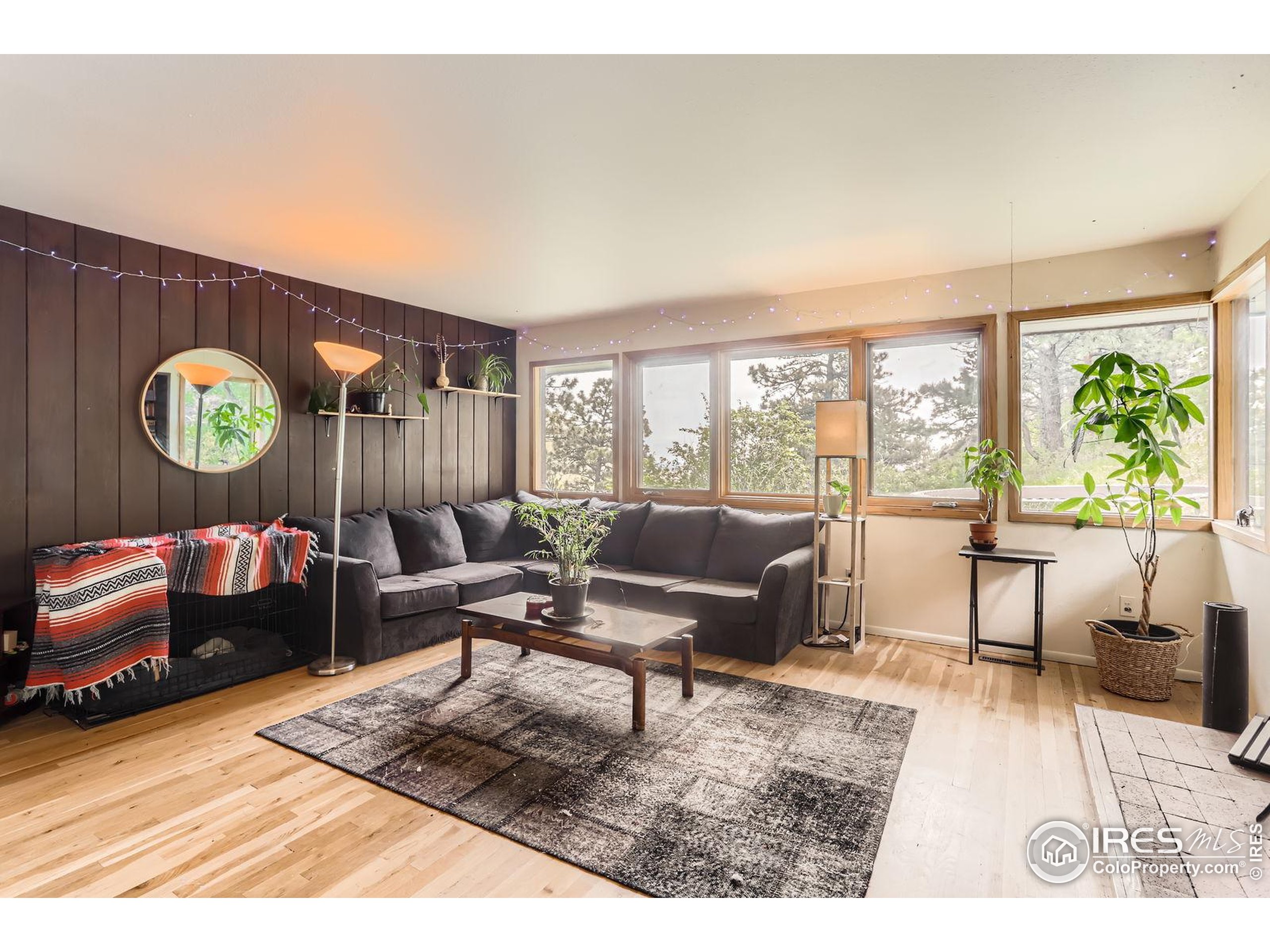 27 Arrowleaf Court Boulder, CO 80304 - Photo 11 of 29 a living room with furniture and a window