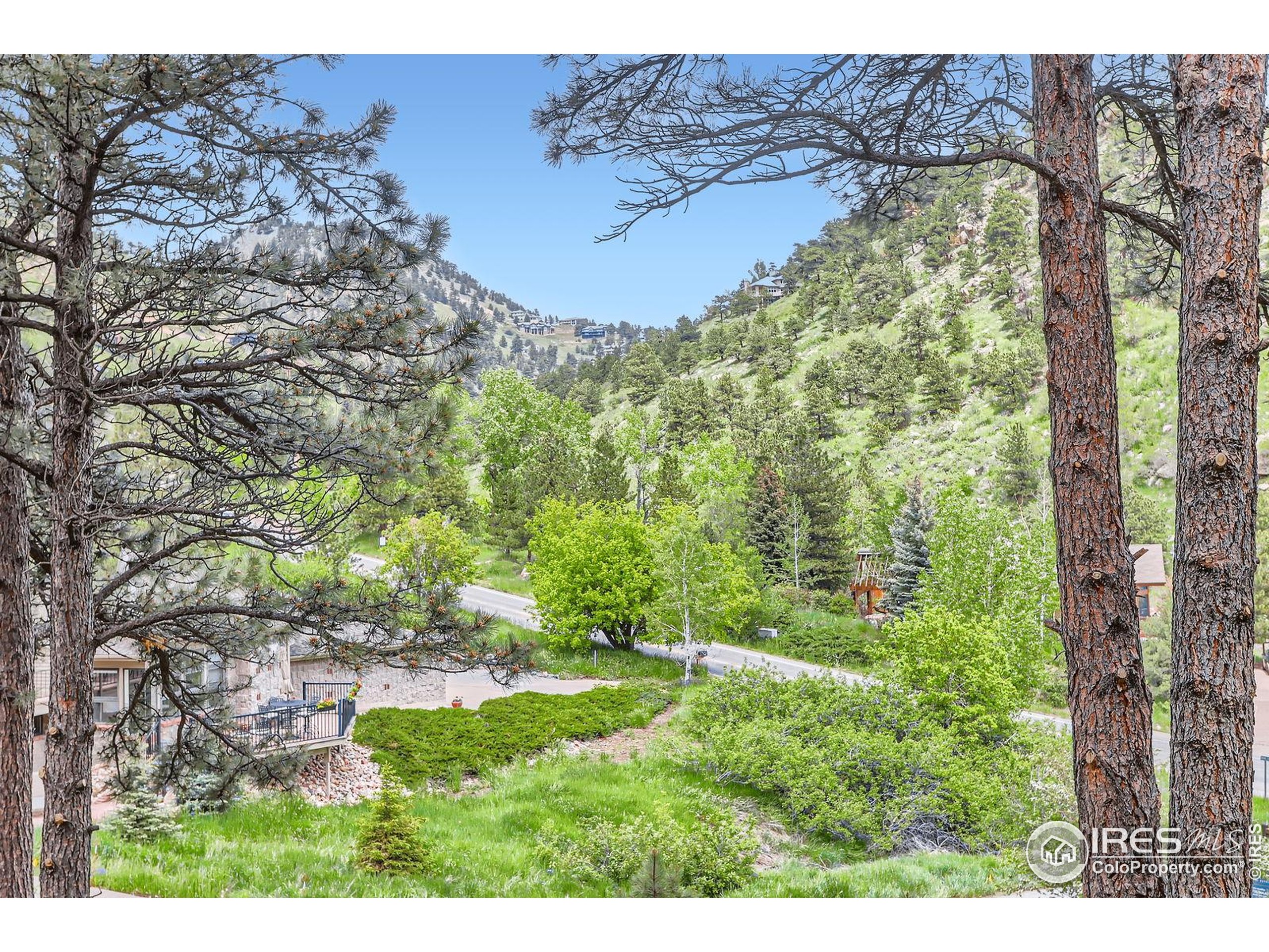 27 Arrowleaf Court Boulder, CO 80304 - Photo 25 of 29 a view of a yard