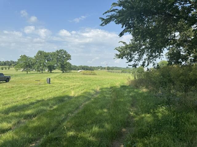 1330 Robinson Road Cynthiana, KY 41031 - Photo 59 of 67 IMG_2908