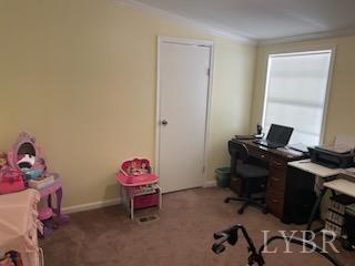 1065 Johnson Mountain Road Evington, VA 24550 - Photo 20 of 49 a livingroom with a window