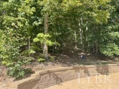 1065 Johnson Mountain Road Evington, VA 24550 - Photo 34 of 49 a backyard of a house with lots of green space