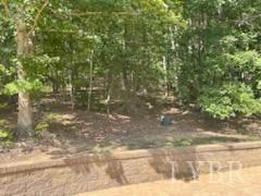 1065 Johnson Mountain Road Evington, VA 24550 - Photo 35 of 49 a view of a yard with plants and trees