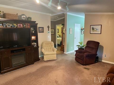 1065 Johnson Mountain Road Evington, VA 24550 - Photo 10 of 49 a living room with furniture and a flat screen tv