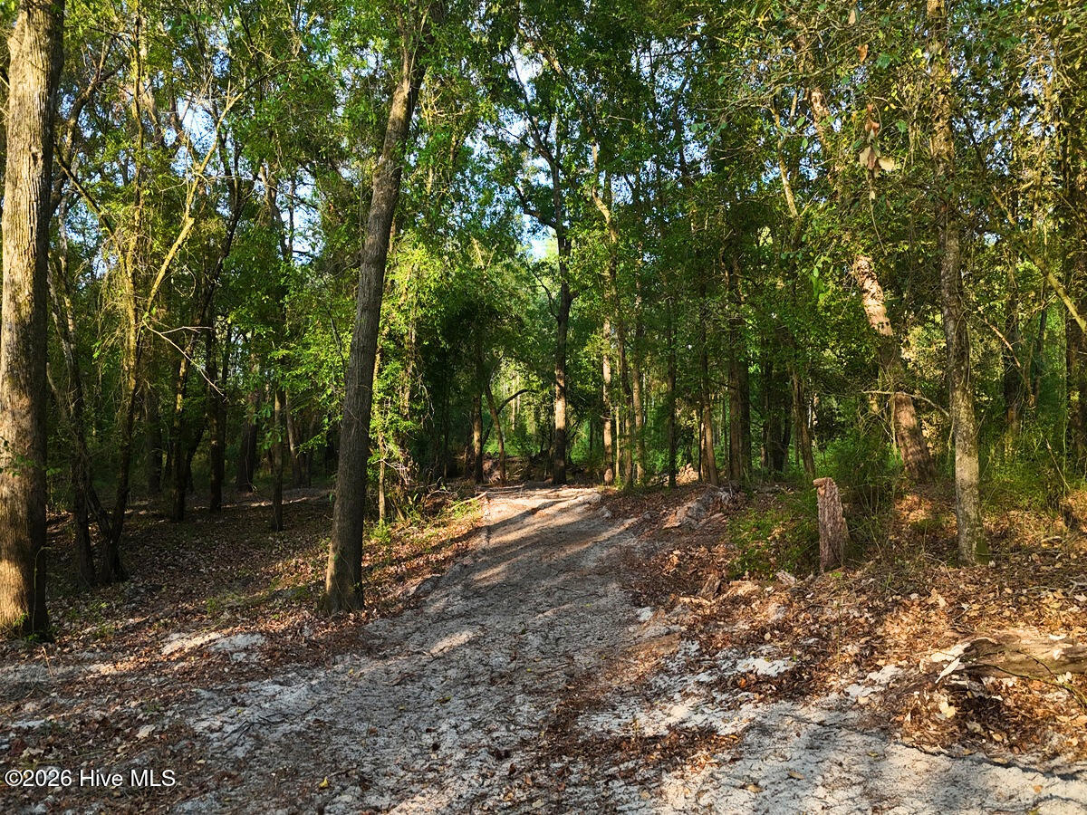0 Durwood Evans Road Beulaville, NC 28518 - Photo 52 of 68 52. Riverfront Access Paths