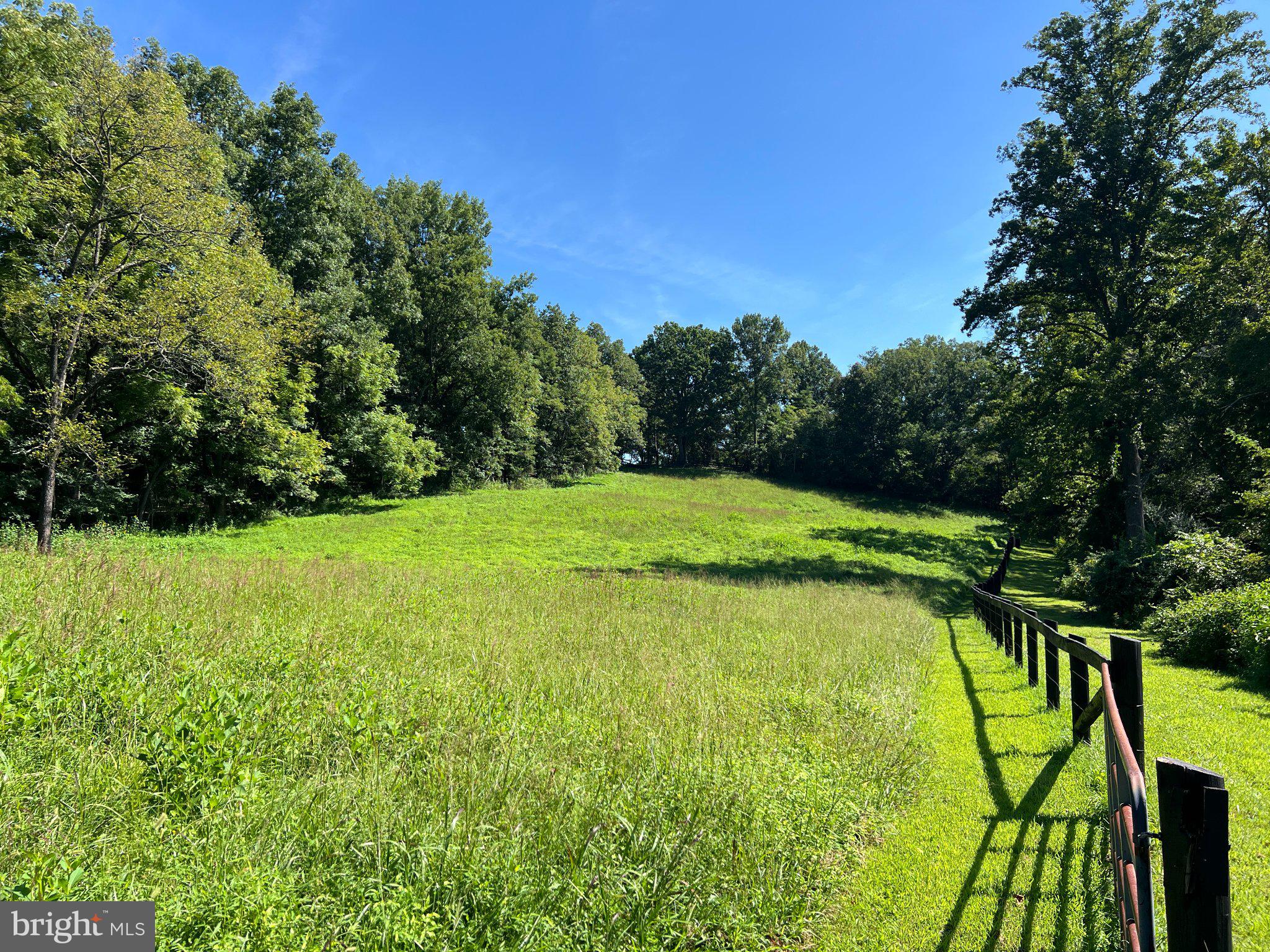 439 Rudasill Road Woodville, VA 22749 - Photo 46 of 55 Far end of the lower horse pasture.