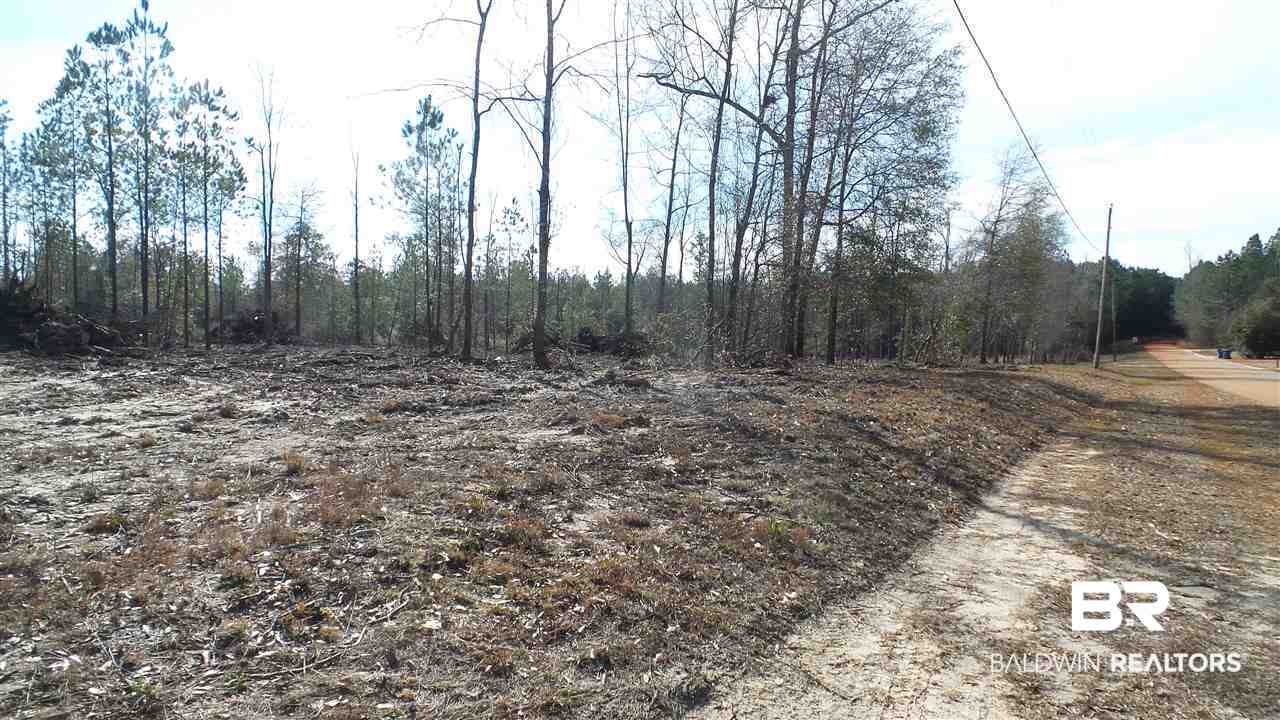 5-6 Dixon Nursery Road Brewton, AL 36426 - Photo 14 of 21