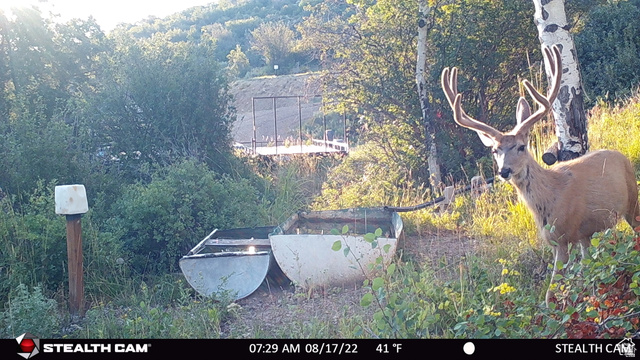 28 Moose Horn Road, Unit 28 Coalville, UT 84017 - Photo 20 of 38