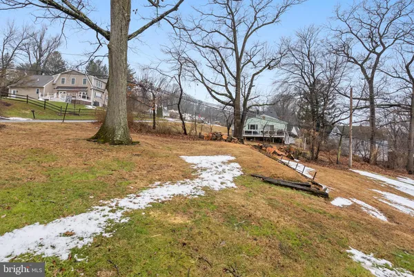 a view of a yard with a tree
