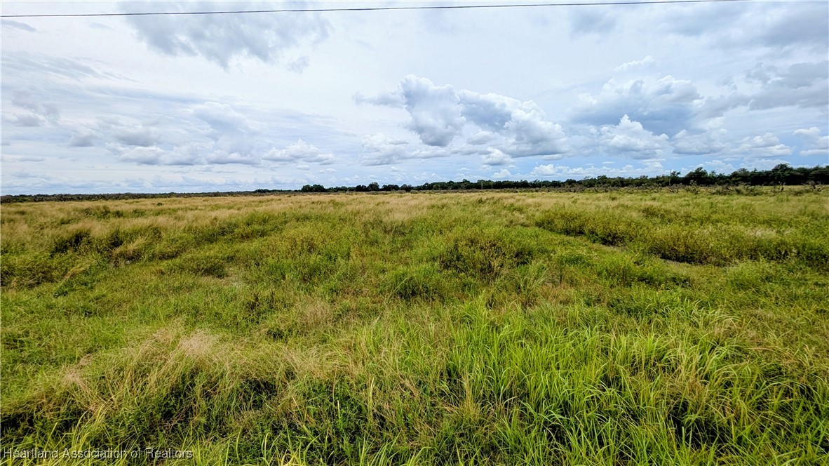 Parnell Road Zolfo Springs, FL 33890 - Photo 5 of 13 Gallery Image 5