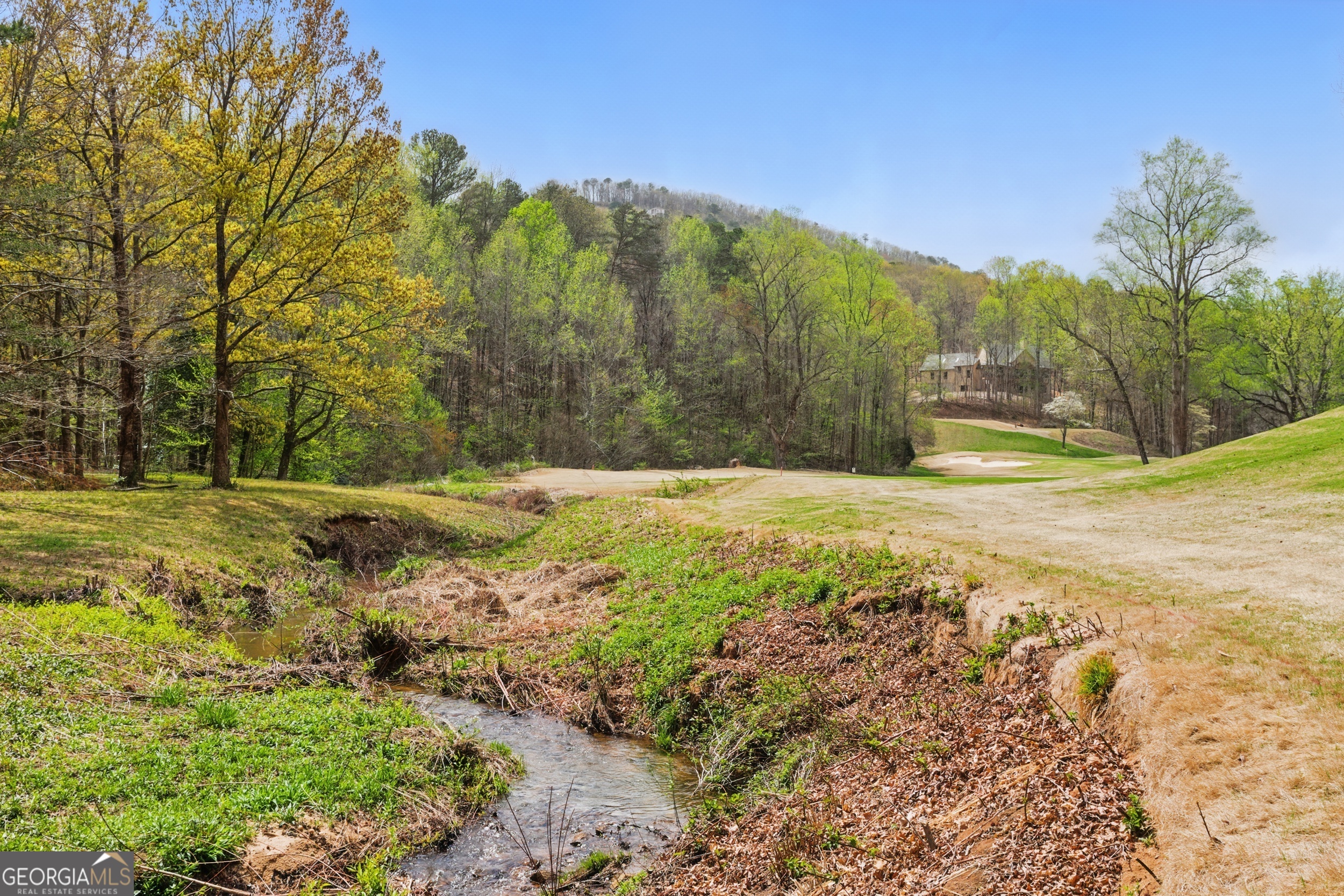 0 Granny Smith Circle Clarkesville, GA 30523 - Photo 11 of 15 a view of yard with large trees