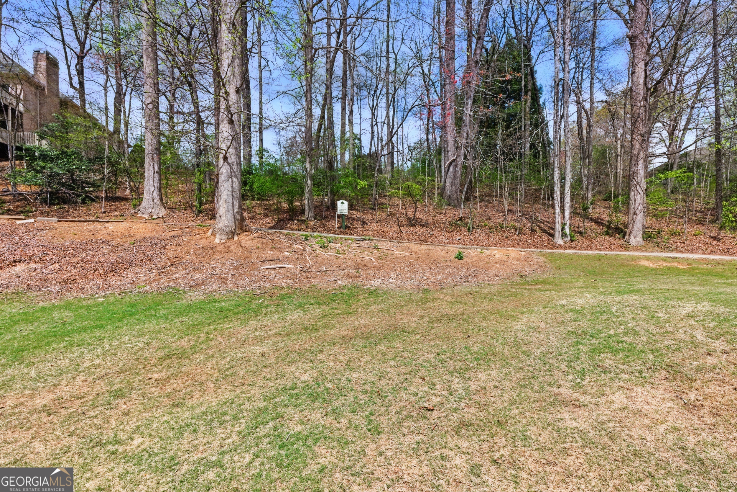0 Granny Smith Circle Clarkesville, GA 30523 - Photo 6 of 15 a view of a backyard with large trees