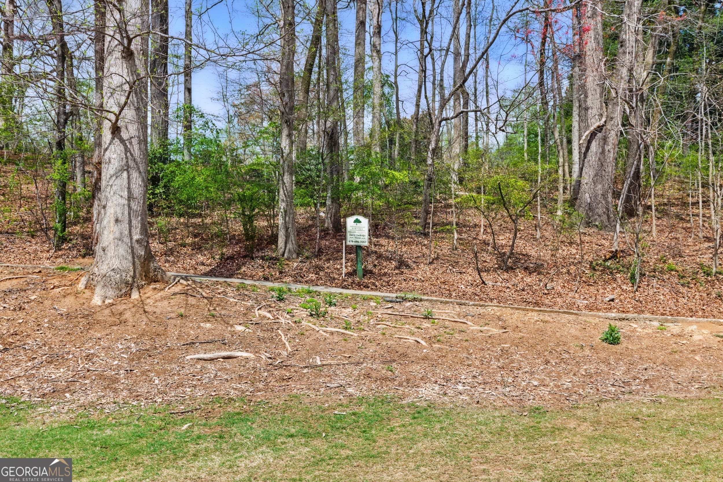 0 Granny Smith Circle Clarkesville, GA 30523 - Photo 7 of 15 a backyard of a house with lots of green space and fountain