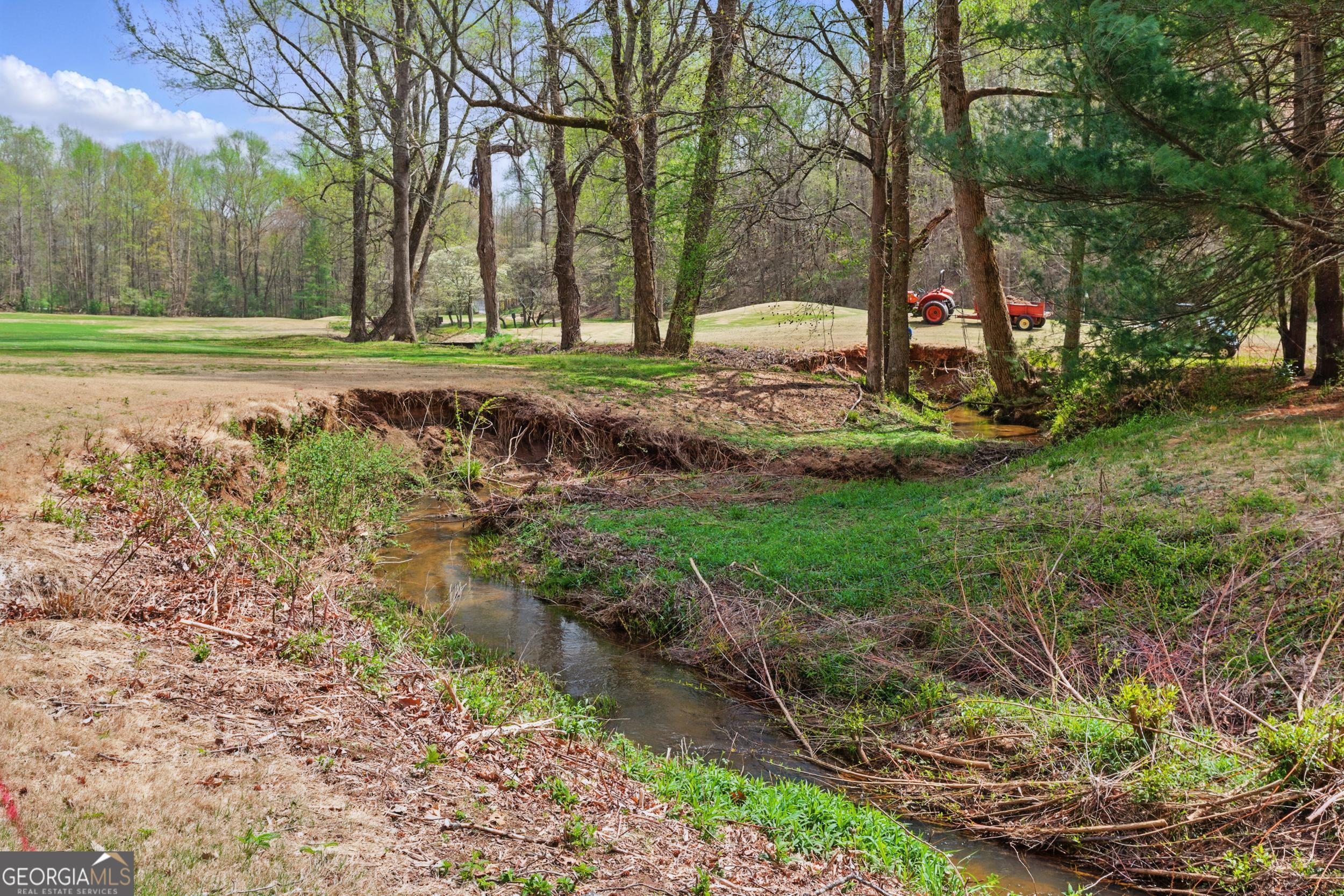 0 Granny Smith Circle Clarkesville, GA 30523 - Photo 10 of 15 a view of a backyard with large trees
