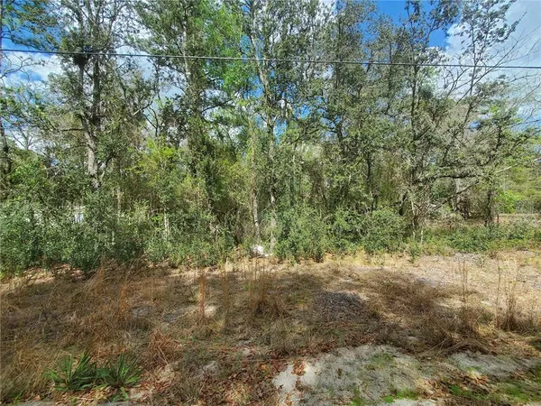 $28,500 | Tbd Northeast 172nd Place, Fort McCoy, FL 32134