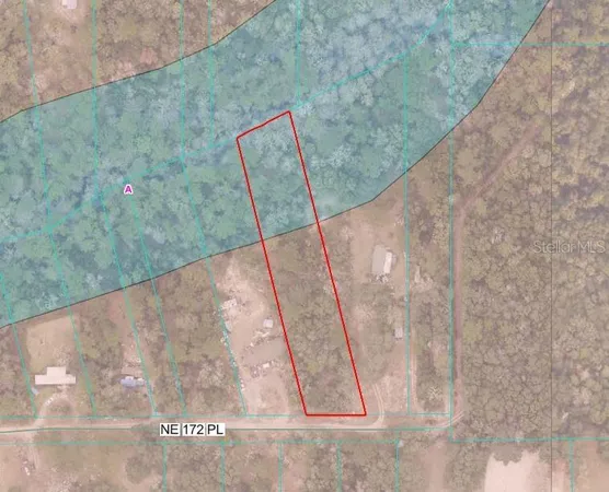 $28,500 | Tbd Northeast 172nd Place, Fort McCoy, FL 32134