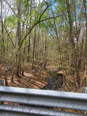 $28,500 | Tbd Northeast 172nd Place, Fort McCoy, FL 32134