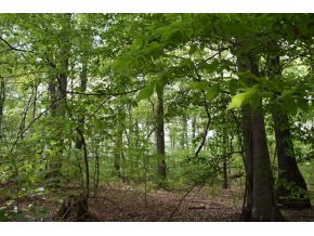 5.05 Reece Road Chuckey, TN 37641 - Photo 14 of 23 Photo 14