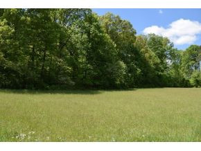 5.05 Reece Road Chuckey, TN 37641 - Photo 17 of 23 Photo 17