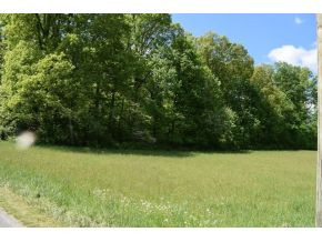5.05 Reece Road Chuckey, TN 37641 - Photo 18 of 23 Photo 18